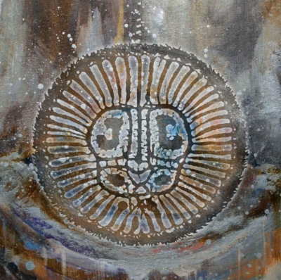 Cyclocosmia grazil Records