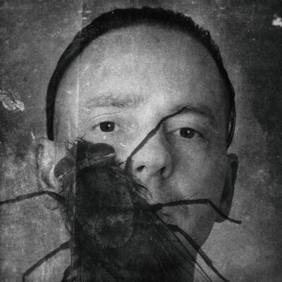 Violenţă Domestică grazil Records