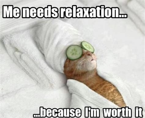 grazil NEWS | Relax before the storm