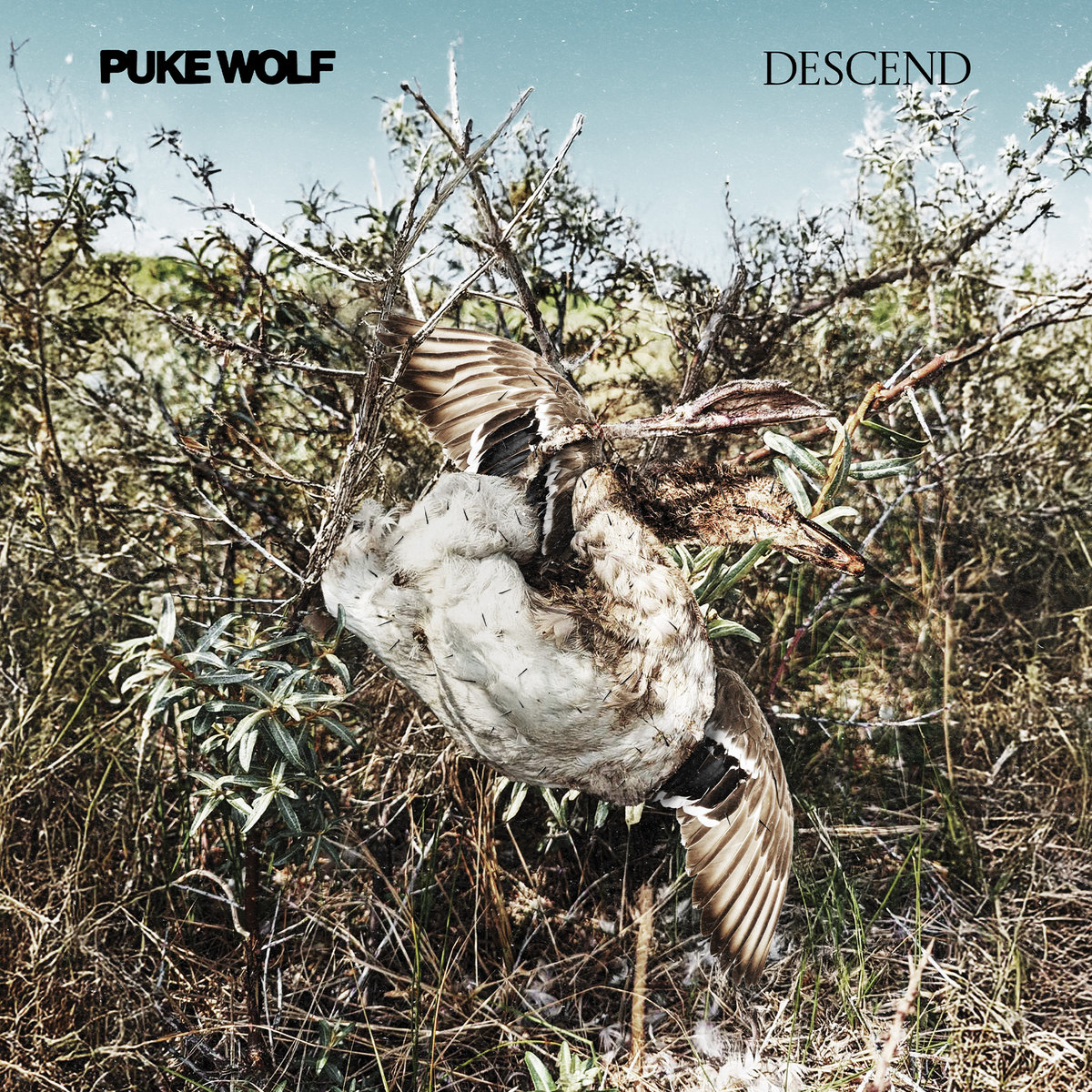 Puke Wolf - Descend - grazil